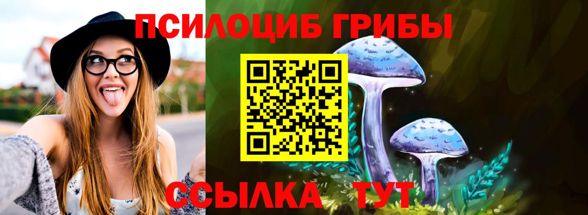 Галлюциногенные грибы Psilocybe Лангепас